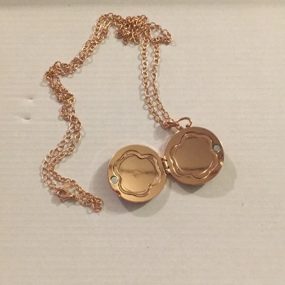 Avon Animal Print Locket Giraffe Necklace (M) - Picture 2 of 4